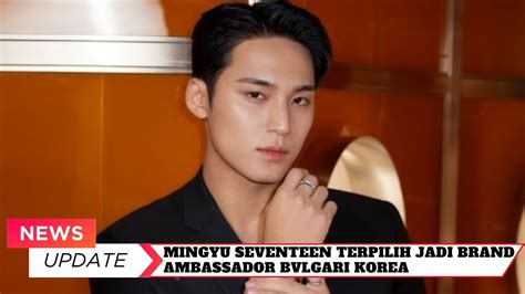 mingyu brand ambassador list